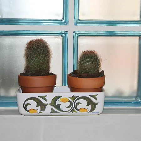 Casa Rinu' Bed & Breakfast *